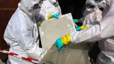 the-role-of-asbestos-surveys-in-environmental-safety