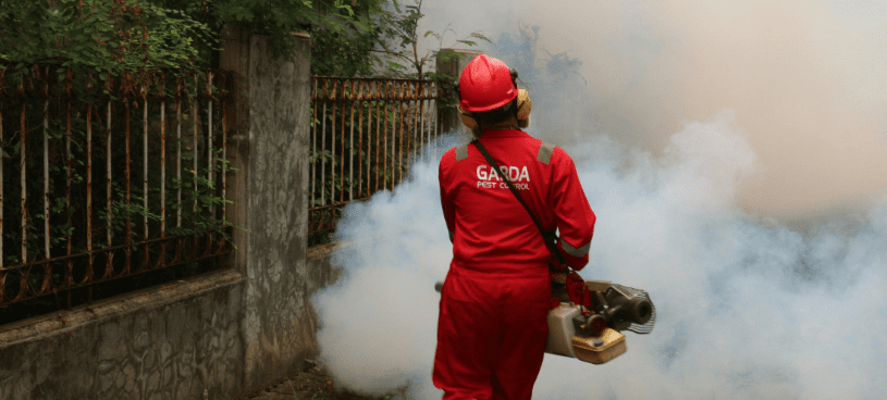 from-ants-to-rodents:-how-an-experienced-exterminator-keeps-your-home-safe-and-sanitary